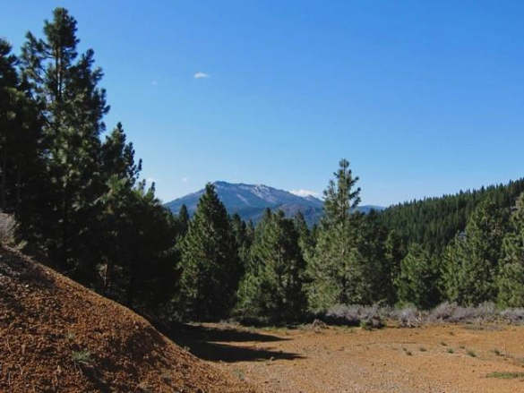 cedar-ridge-lot-003