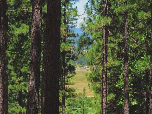 266-boulder-drive-views