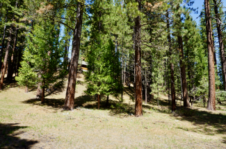 4 Paiute Trail, GRAEAGLE