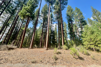 655 Bobcat Trail, CLIO