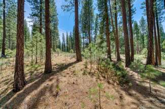 691 Redtail Loop, WHITEHAWK RANCH